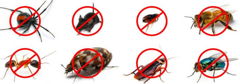 Pest control services