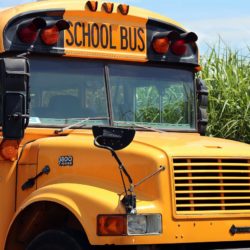 The Benefits of New School Bus Sales in Alberta, Canada